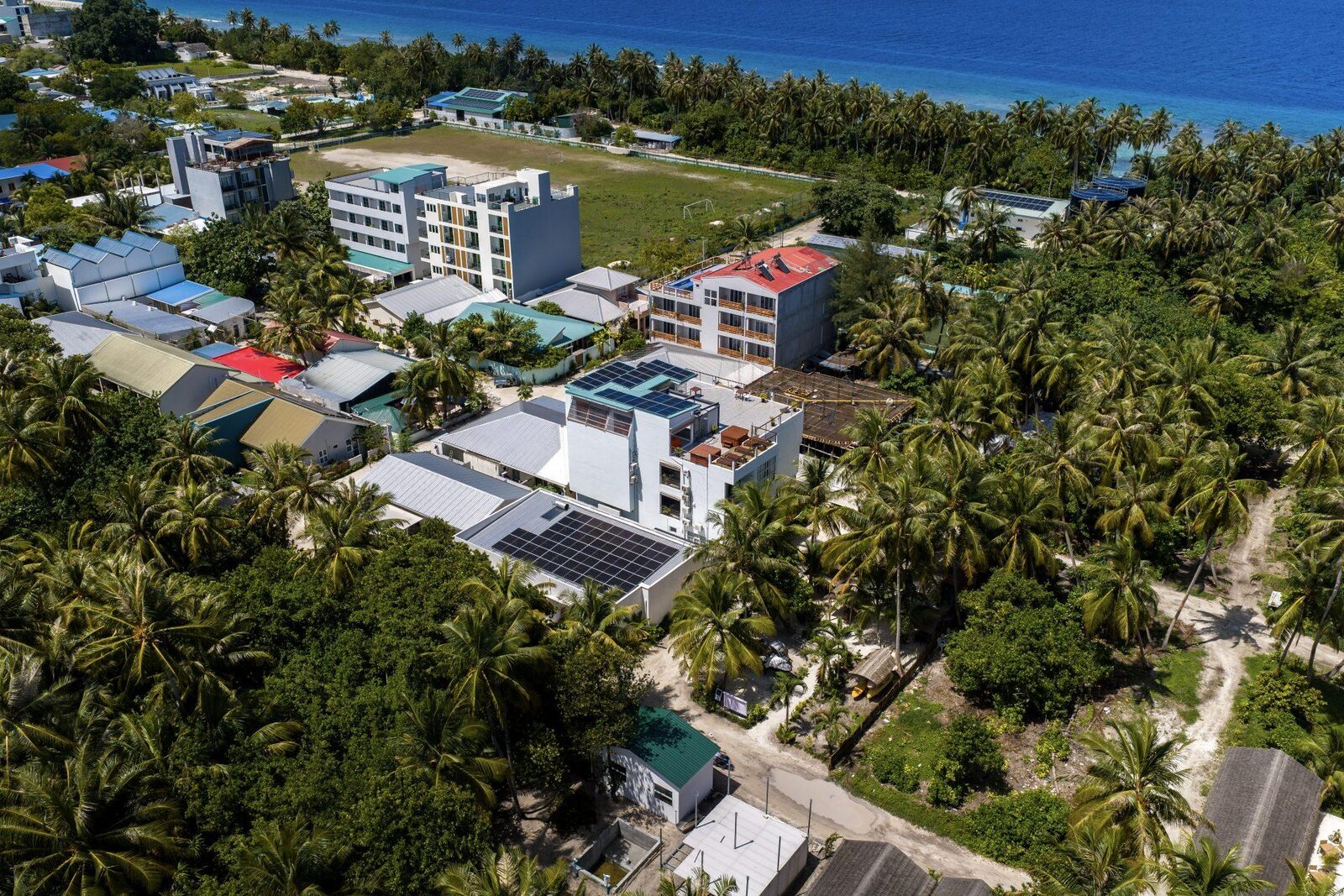 Aerial view of Dhigurah village, rooftops set among coconut palms